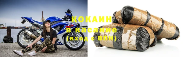 индика Абаза