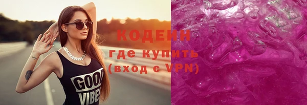 индика Абаза