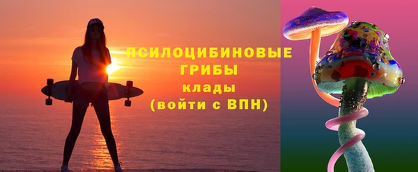 ПСИЛОЦИБИНОВЫЕ ГРИБЫ Абдулино