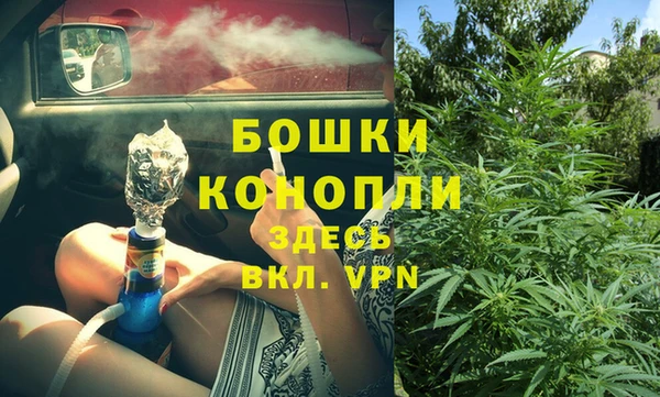 индика Абаза