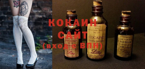 индика Абаза
