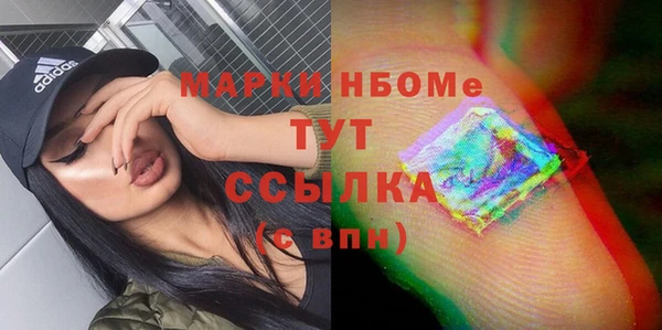 индика Абаза