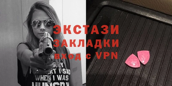 индика Абаза
