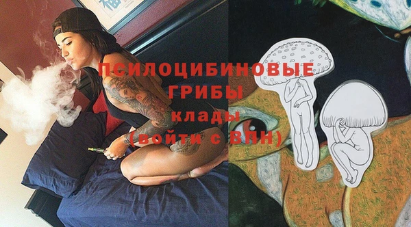 индика Абаза